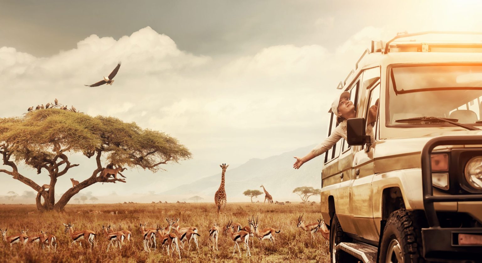 Femme dans un véhicule lors d'un voyage safari